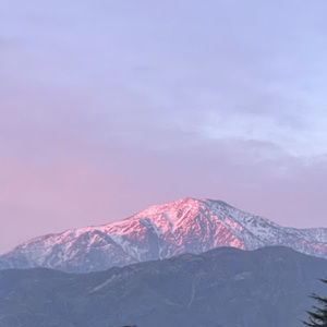 Meet your Posher, Gloria